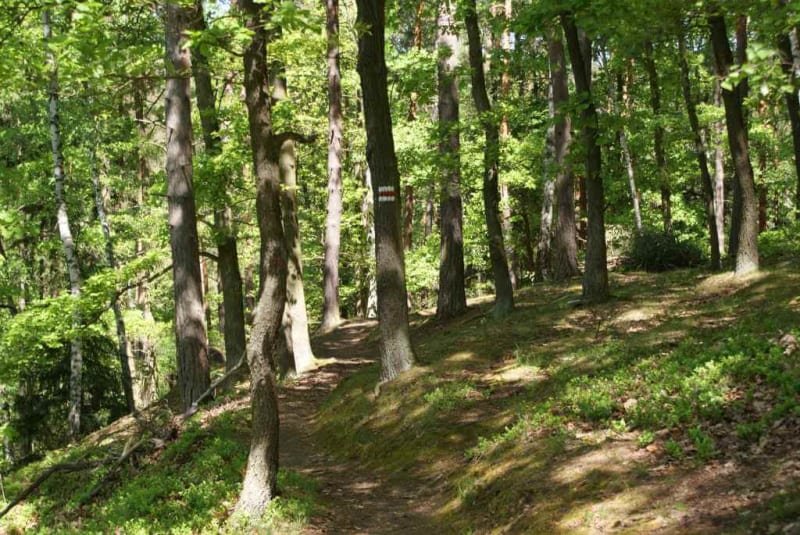 Pěší turistika a cykloturistika v Kokořínsku